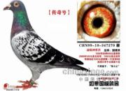 Ե����δ�ˣ��������š�(ͼ)