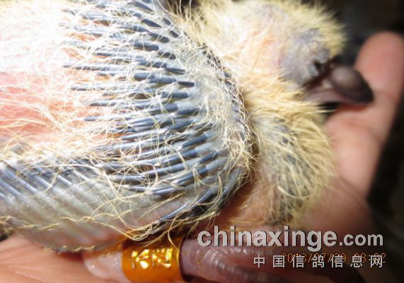 δ�����ѻ��֡��ĳɳ�(ͼ)