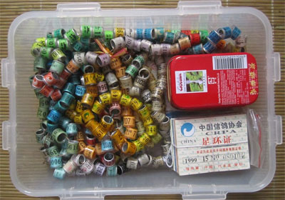 һ��һ��һ����