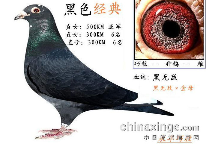 �������䡱���ϡ����桱(ͼ)