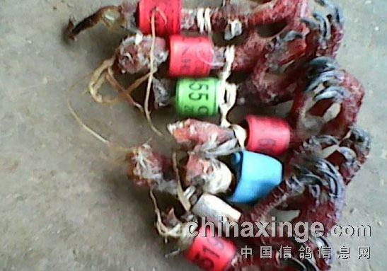 ���ձ��� ���ղ���(ͼ)