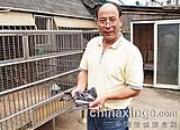 ���������������������(�ڶ�����)