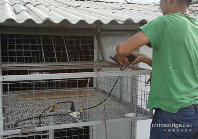 �����ﰲװɨ���