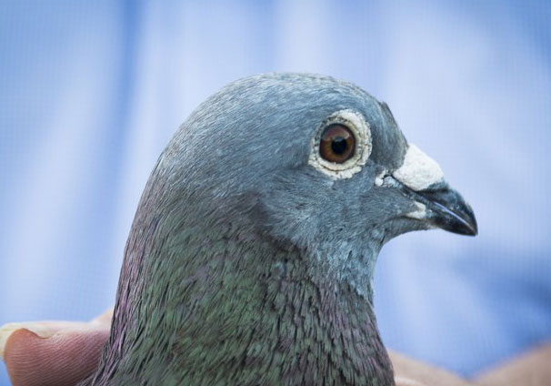 ����ʱͼ�գ���˹.���ڻ�һ���鼾��(ͼ)