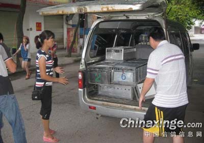 ����ѵ�ŵĺ�����(ͼ)