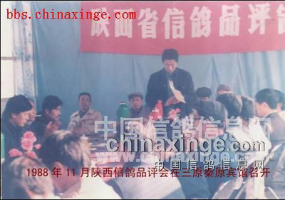 С��� ����Ϊ(ͼ)