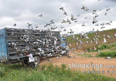 ���ݺ����������ǰ20����ѵ��(ͼ)