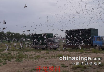 ��������������������½��������ѵ(ͼ)