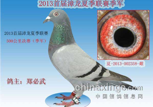 �������ݰ��������ǰ30������(ͼ)