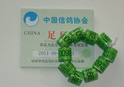 ����Ϊ��ǰ�㻷�۸��㲻���