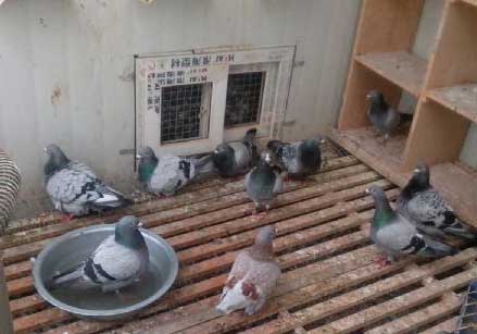 ���롱������(ͼ)