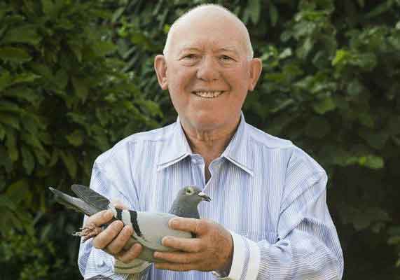 ����ʱ�Ǿ���II����������ھ�(ͼ)