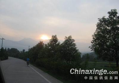 ӭ��������ѵ����Ȼ������(ͼ)