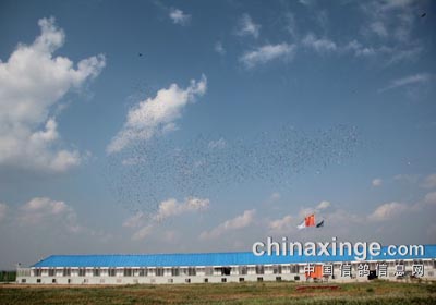 ��������͸�� �ҷ�����ֱ��(ͼ)