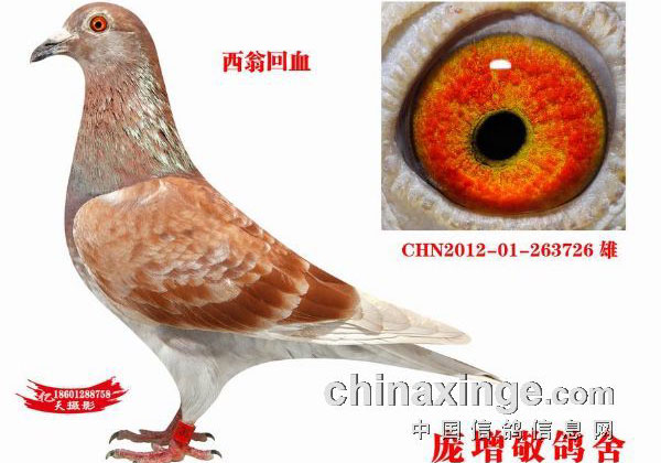 ���������Ÿ� �����ɼ�(ͼ)