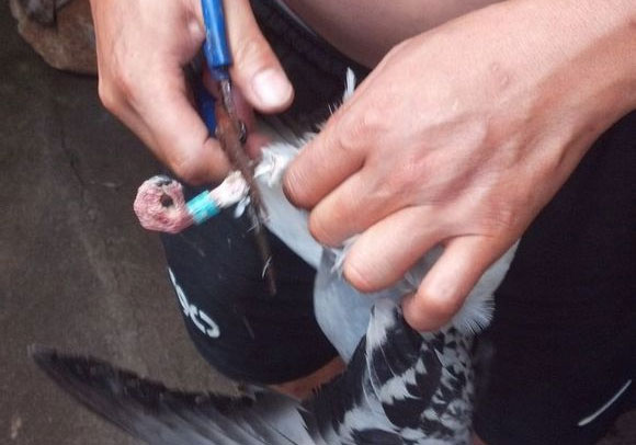 300����4Сʱδ�� ��������˫��(ͼ)