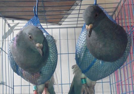 �����˱� ��������(ͼ)