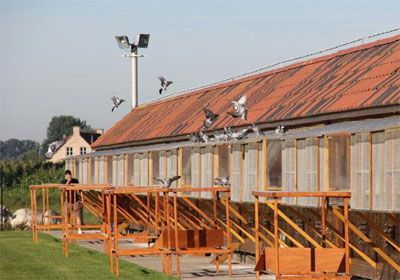 ����ʱ��Ӣ����ǰ���أ��й���������(ͼ)