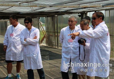 ���ո�Э�����ݰ�ٰ��蹫��ָ��(ͼ)