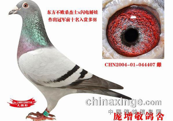 ɹһɹ�ҵ������ָ�(ͼ)