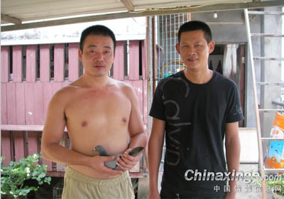 ���ݹ�¥����ļ���Ӯ���ﳯ��(ͼ)