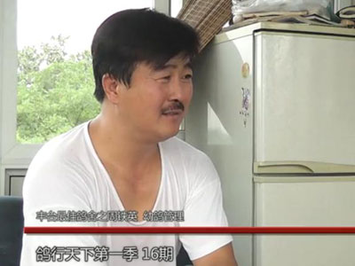 �������µ�16�ڣ���̨��Ѹ�������Ӣ