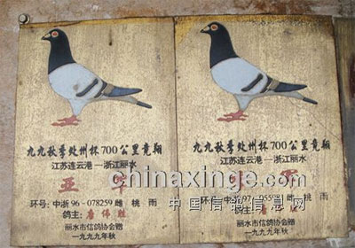 ���꾺�������� ��ڶ��Ƕ�����(ͼ)