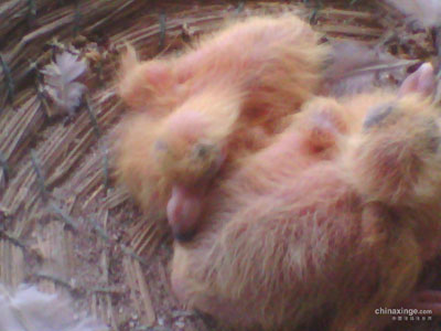 ����һ��һС��ô��