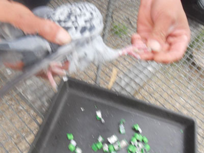 ��һ�ǣ��Ҵ���Ϊʲô���ɷѣ�