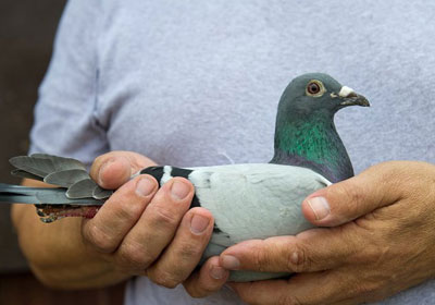 ����ʱ�����ٹ������ھ���¯(ͼ)