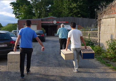 ��Ħ����ʱ���룺˫���ӱ������(ͼ)