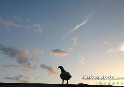 Ϊ�＾������Ӱ(ͼ)