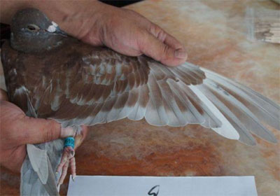 �ӱ����ݹ���19�վ�����������(ͼ)