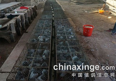 ��ˮ��û���������Ҵ�������Ƭ����(ͼ)