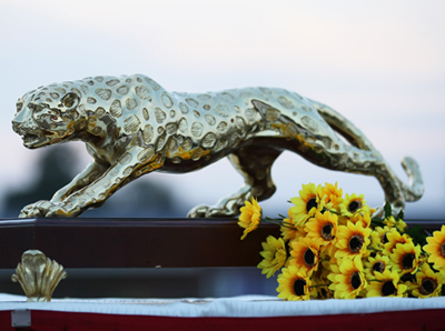 �����ߴ�л�����ֳ�(ͼ)