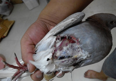 ײ��̫������ô���ƣ�