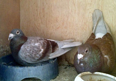 ���˿����Ӿ�û�¿���(ͼ)