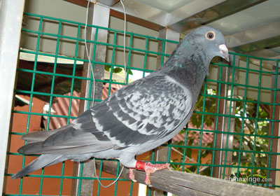 ����̸�뾭(��)̽������