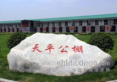 �����ǻ� Ī�����(ͼ)