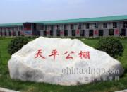 �����ǻ� Ī�����(ͼ)