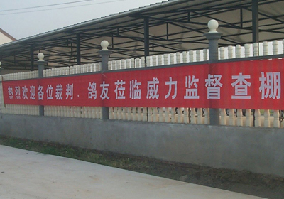 �и�������������9��1�ա������֡�����