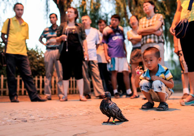 ��������������ˮ�Ÿ�(ͼ)