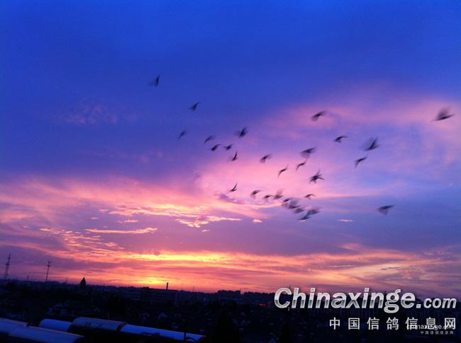 ������ռҷɼ���(ͼ)