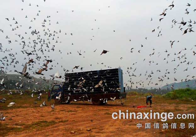 �����������ȶ�ѵ�����(ͼ)