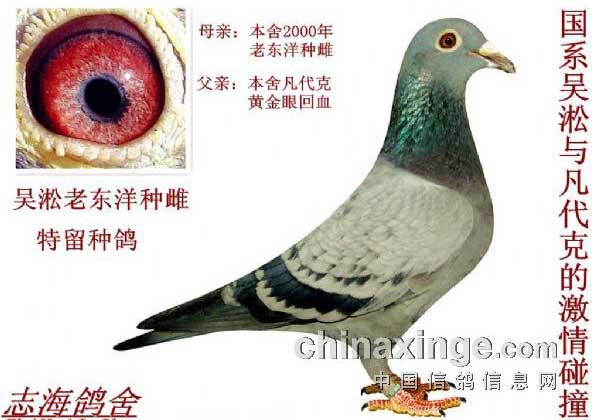 ��ϵ��������ϵ���(ͼ)