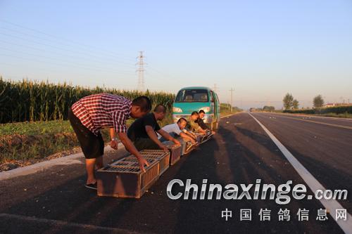 Լ�Ϻ���ȥѵ�룺����鳲��(ͼ)