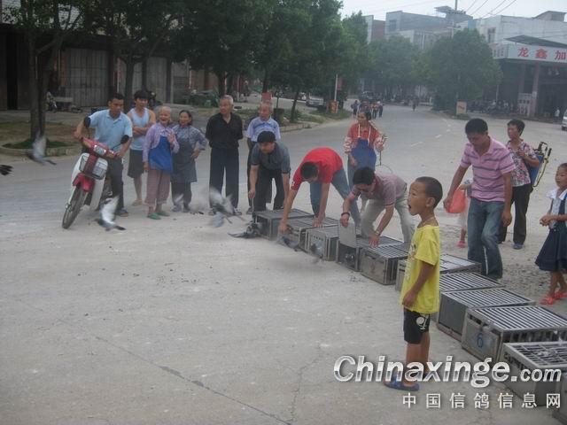 ����̨��ǰ����˽��(ͼ)