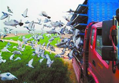 �����ձ�������Ϊɶ�ù�����ô��񫣿