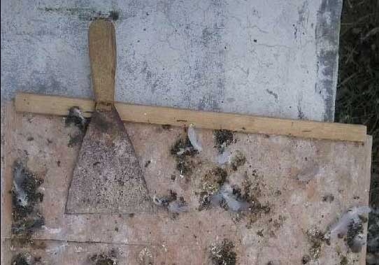 ʵս�ֲ�֮·ѵϸ��(ͼ)