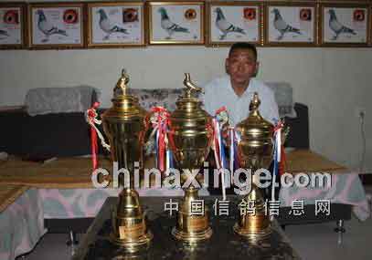 ��ԭ���Ҷ�Ծ�����������������ھ�(ͼ)